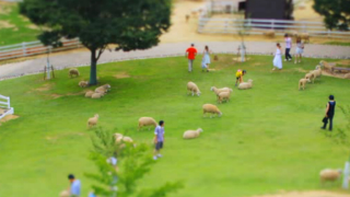 Illustration for article titled One of the World's Busiest Airports Looks Like a Toy Set In This Tilt-Shift Video
